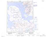 049C BAUMANN FIORD Printable Topographic Map Thumbnail