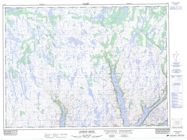 D'Espoir Brook Topographic Paper Map 011P16 at 1:50,000 scale