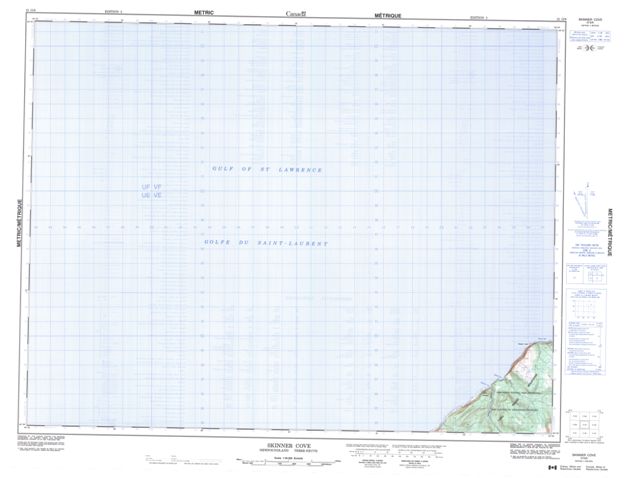 Skinner Cove Topographic Paper Map 012G09 at 1:50,000 scale