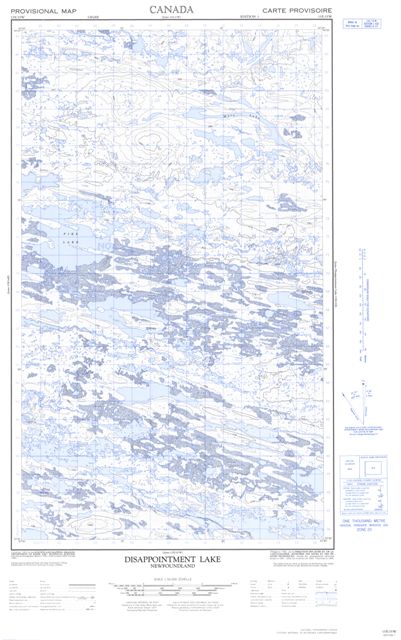 Disappointment Lake Topographic Paper Map 013E15W at 1:50,000 scale