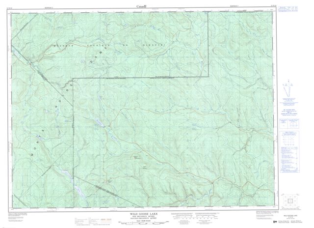 Wild Goose Lake Topographic Paper Map 021N16 at 1:50,000 scale