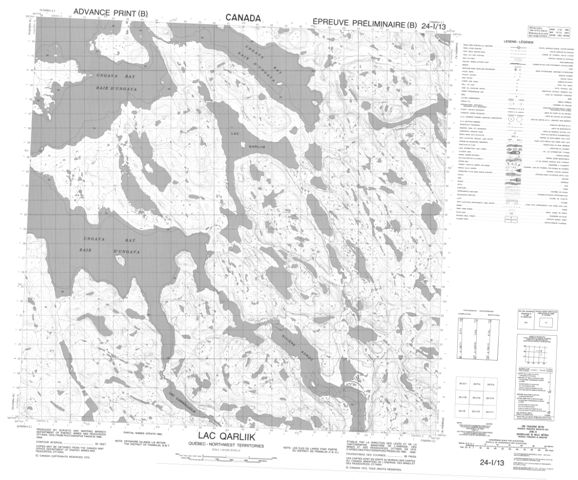 Lac Qarliik Topographic Paper Map 024I13 at 1:50,000 scale