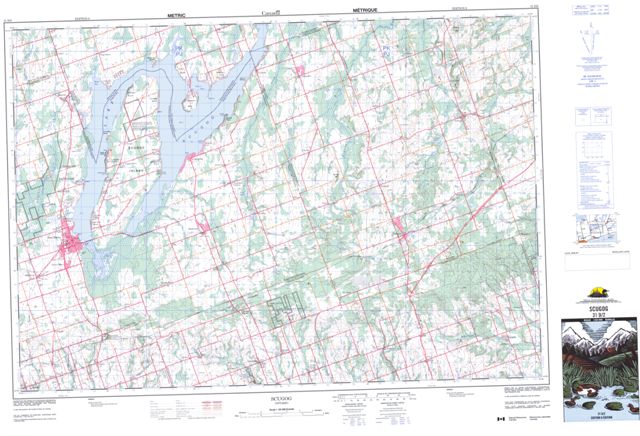 Scugog Topographic Paper Map 031D02 at 1:50,000 scale