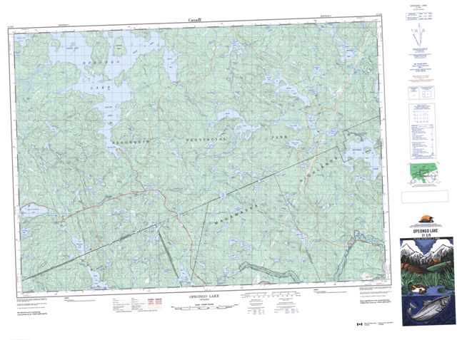 Opeongo Lake Topographic Paper Map 031E09 at 1:50,000 scale