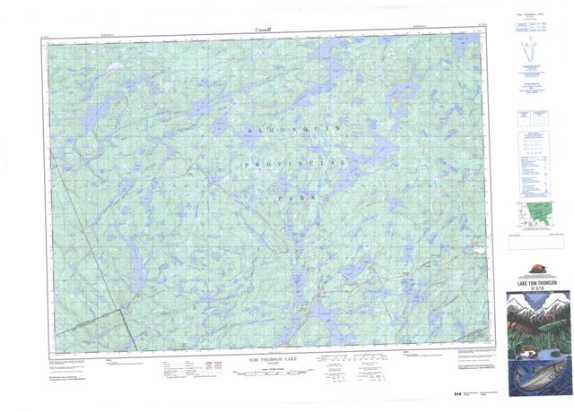 Tom Thomson Lake Topographic Paper Map 031E10 at 1:50,000 scale
