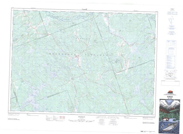 Denbigh Topographic Paper Map 031F03 at 1:50,000 scale