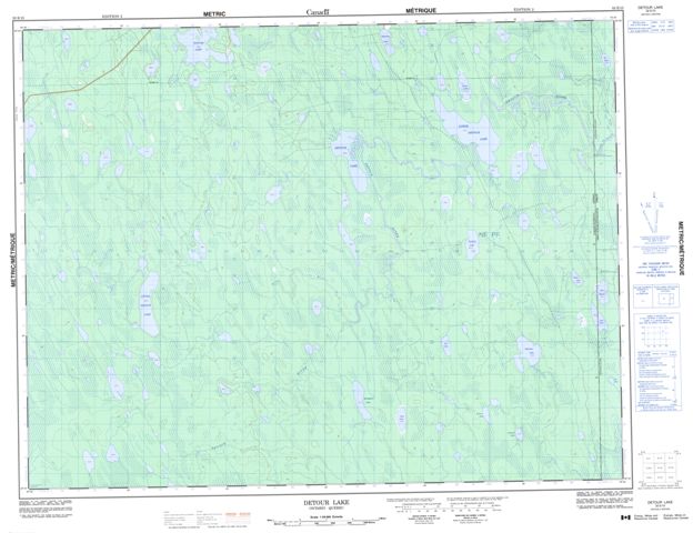 Detour Lake Topographic Paper Map 032E13 at 1:50,000 scale