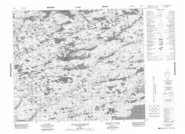 Lac De Salleneuve Topographic Paper Map 033I04 at 1:50,000 scale