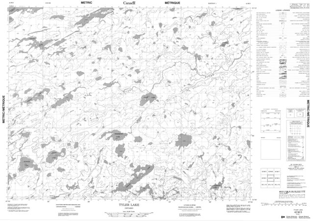 Tyler Lake Topographic Paper Map 042M03 at 1:50,000 scale