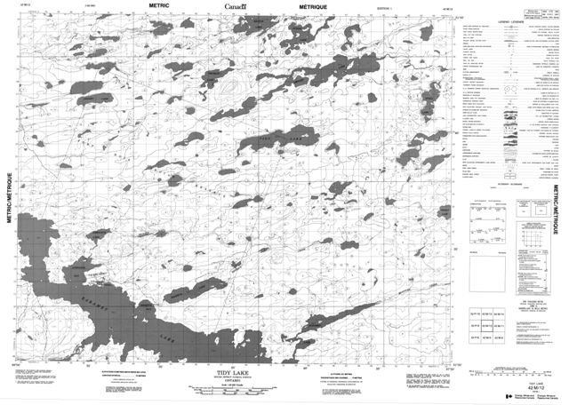 Tidy Lake Topographic Paper Map 042M12 at 1:50,000 scale