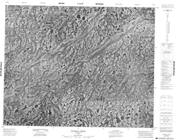 Salomaa Creek Topographic Paper Map 042O08 at 1:50,000 scale