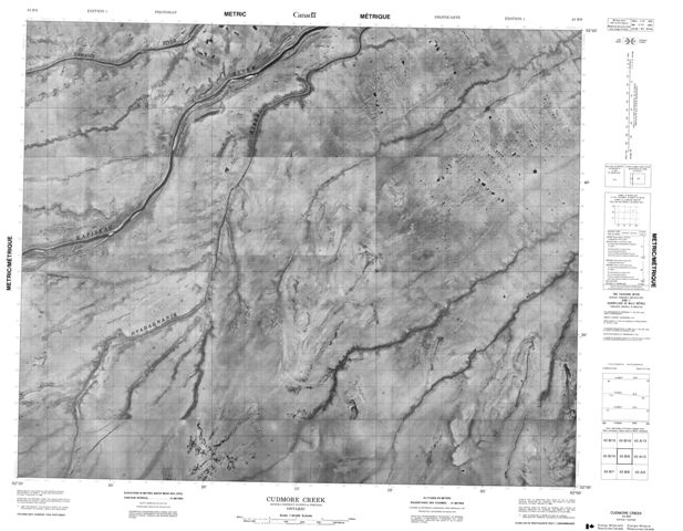Cudmore Creek Topographic Paper Map 043B09 at 1:50,000 scale