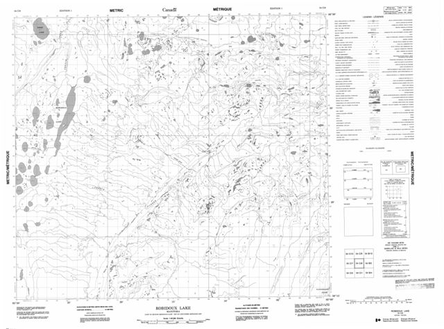 Robidoux Lake Topographic Paper Map 054C08 at 1:50,000 scale