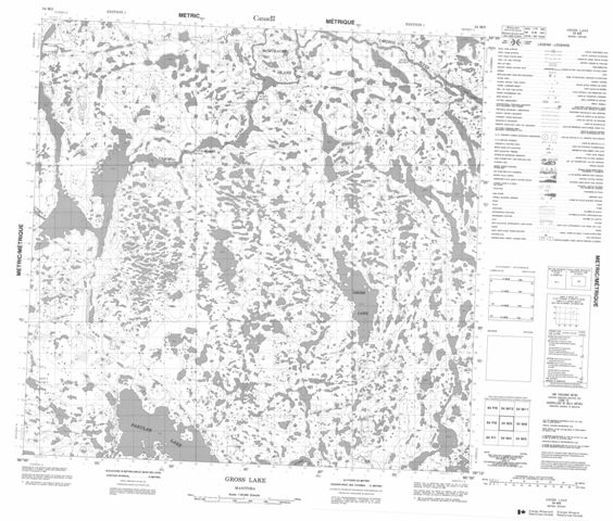 Gross Lake Topographic Paper Map 054M05 at 1:50,000 scale