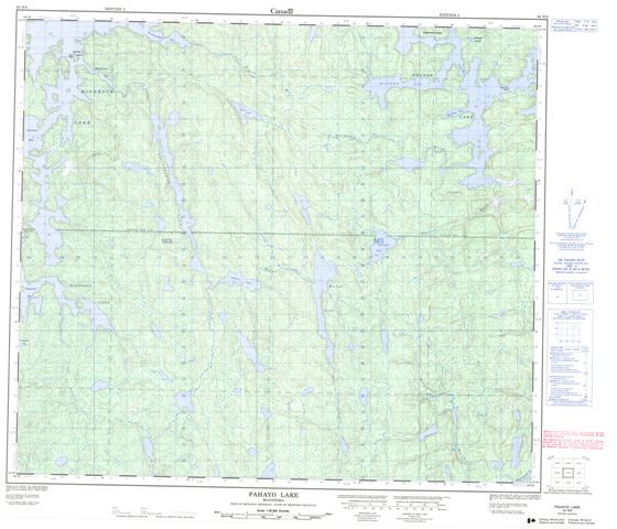 Pahayo Lake Topographic Paper Map 063N09 at 1:50,000 scale