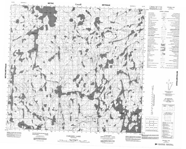 Carlson Lake Topographic Paper Map 064F06 at 1:50,000 scale