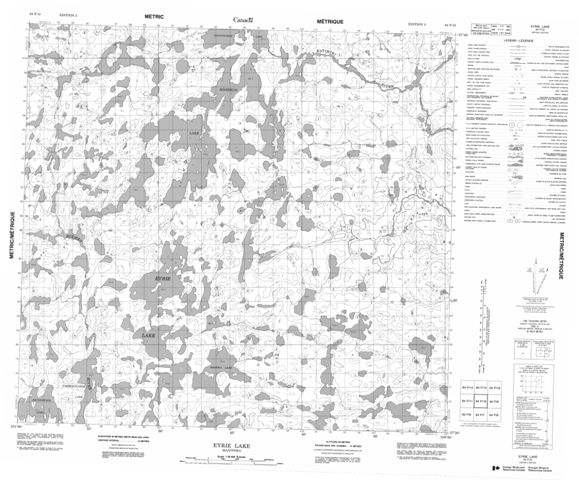 Eyrie Lake Topographic Paper Map 064F10 at 1:50,000 scale