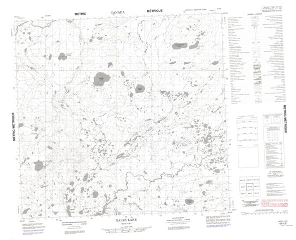 Nares Lake Topographic Paper Map 064I08 at 1:50,000 scale