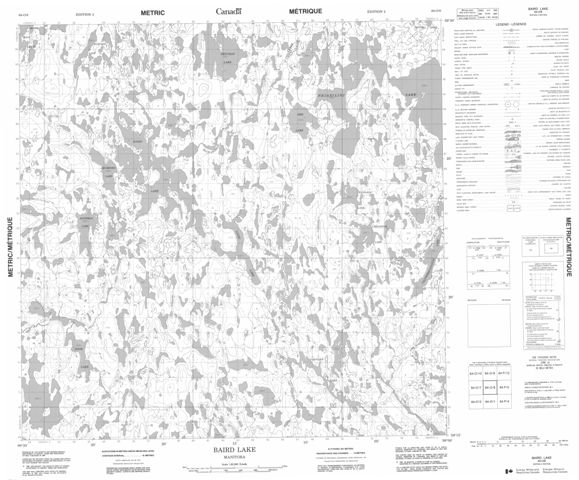 Baird Lake Topographic Paper Map 064O08 at 1:50,000 scale