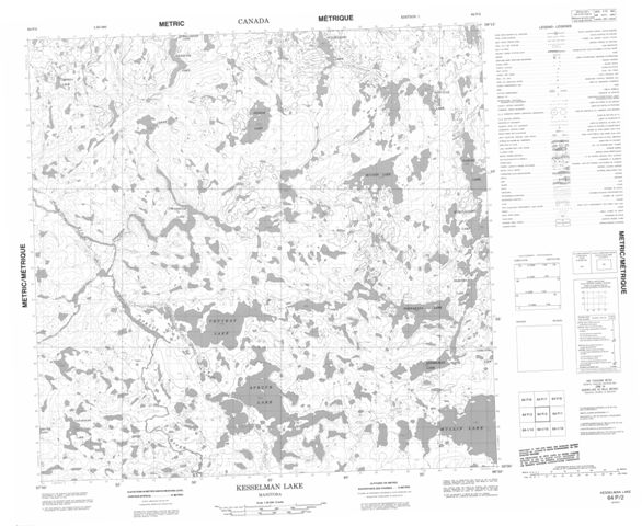 Kesselman Lake Topographic Paper Map 064P02 at 1:50,000 scale