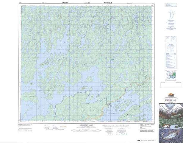 Nemeiben Lake Topographic Paper Map 073P06 at 1:50,000 scale