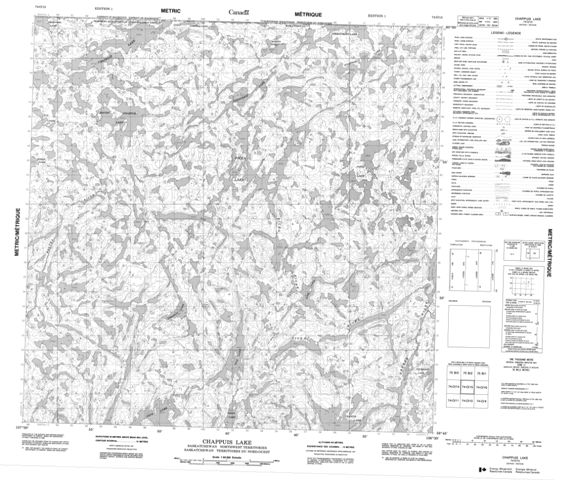 Chappuis Lake Topographic Paper Map 074O15 at 1:50,000 scale