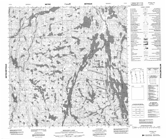 Bedodid Lake Topographic Paper Map 075D08 at 1:50,000 scale