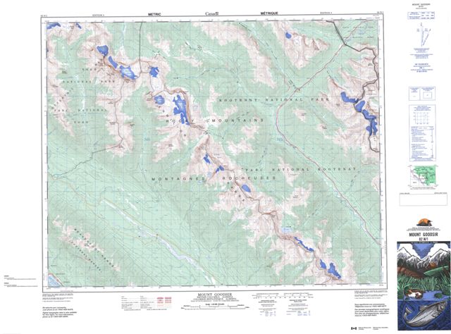 Mount Goodsir Topographic Paper Map 082N01 at 1:50,000 scale
