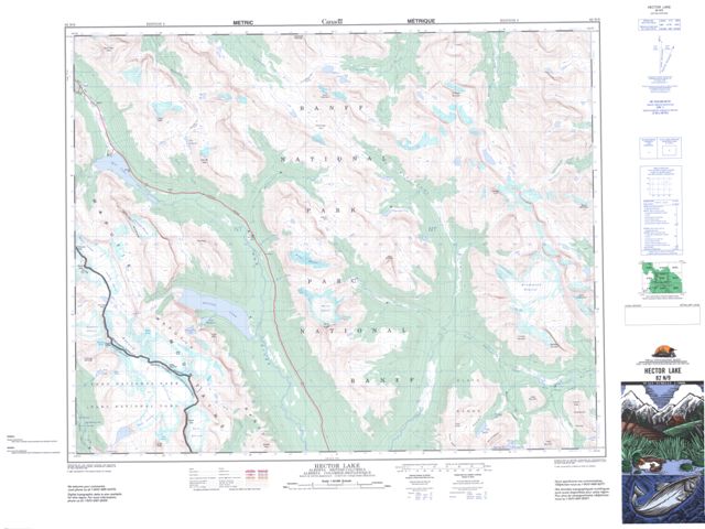 Hector Lake Topographic Paper Map 082N09 at 1:50,000 scale