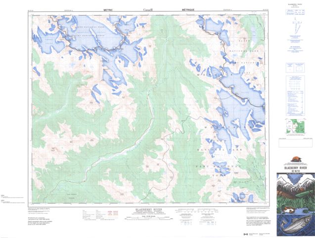 Blaeberry River Topographic Paper Map 082N10 at 1:50,000 scale