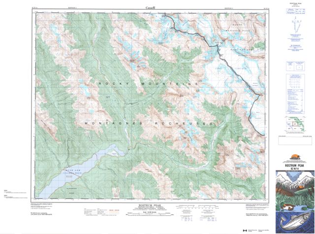 Rostrum Peak Topographic Paper Map 082N14 at 1:50,000 scale