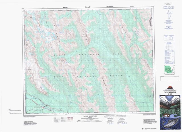 Castle Mountain Topographic Paper Map 082O05 at 1:50,000 scale