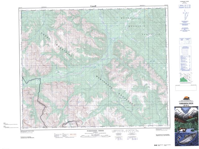 Forbidden Creek Topographic Paper Map 082O13 at 1:50,000 scale