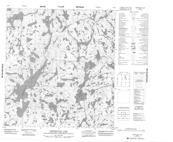 Desperation Lake Topographic Paper Map 085I09 at 1:50,000 scale