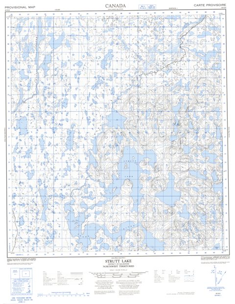 Strutt Lake Topographic Paper Map 085N08 at 1:50,000 scale