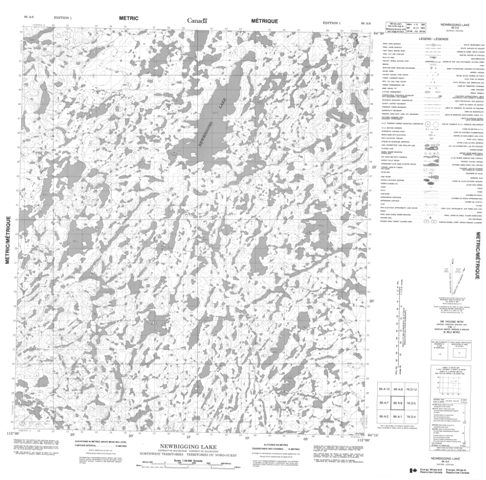Newbigging Lake Topographic Paper Map 086A08 at 1:50,000 scale