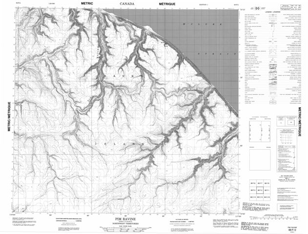 Pim Ravine Topographic Paper Map 088F02 at 1:50,000 scale