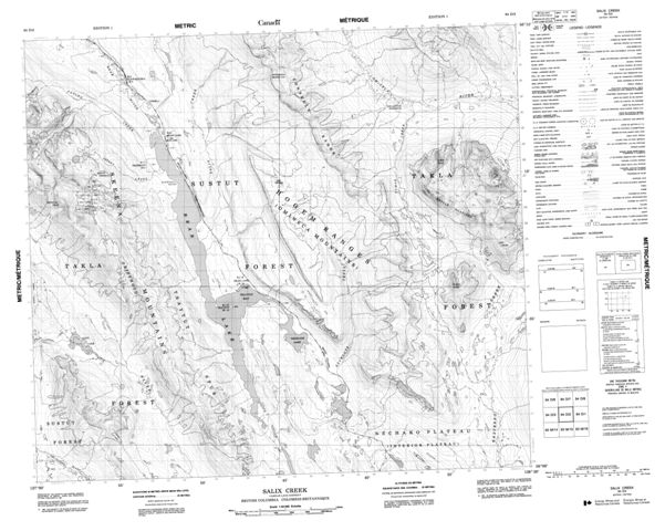 Salix Creek Topographic Paper Map 094D02 at 1:50,000 scale