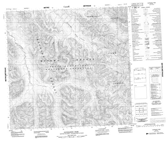 Gundahoo Pass Topographic Paper Map 094L16 at 1:50,000 scale