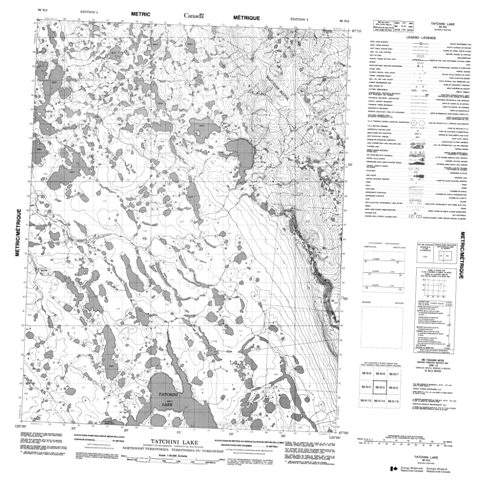 Tatchini Lake Topographic Paper Map 096N03 at 1:50,000 scale