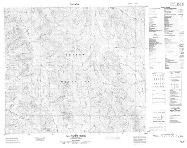 Sallysout Creek Topographic Paper Map 104A01 at 1:50,000 scale