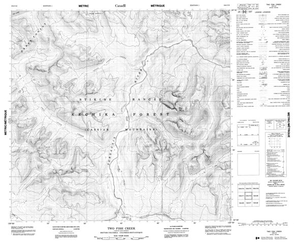 Two Fish Creek Topographic Paper Map 104I10 at 1:50,000 scale