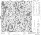 074P10 Young Lake Topographic Map Thumbnail 1:50,000 scale
