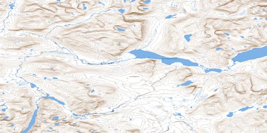 Tower Mountain Topo Map 024P08 at 1:50,000 scale - National Topographic System of Canada (NTS) - Toporama map