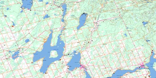 Fenelon Falls Topo Map 031D10 at 1:50,000 scale - National Topographic System of Canada (NTS) - Toporama map