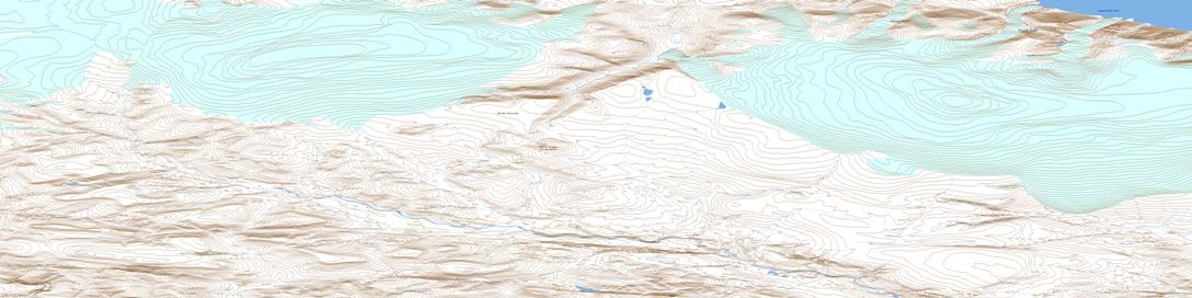 Ikkarlak Glacier Topo Map 048D02 at 1:50,000 scale - National Topographic System of Canada (NTS) - Toporama map