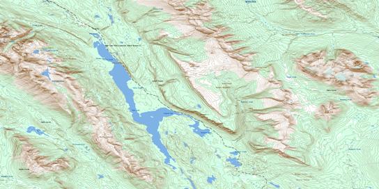 Salix Creek Topo Map 094D02 at 1:50,000 scale - National Topographic System of Canada (NTS) - Toporama map