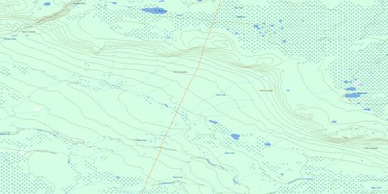 Two Island Lake Topographic map 094O08 at 1:50,000 Scale