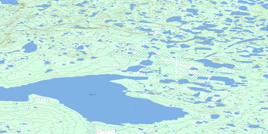Tunago Lake Topographic map 096K05 at 1:50,000 Scale