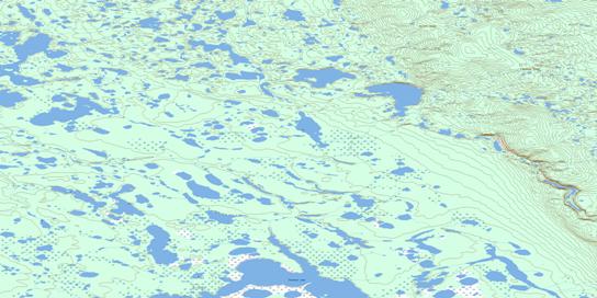 Tatchini Lake Topo Map 096N03 at 1:50,000 scale - National Topographic System of Canada (NTS) - Toporama map